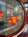 IMG_20260518_100347.jpg.webp
